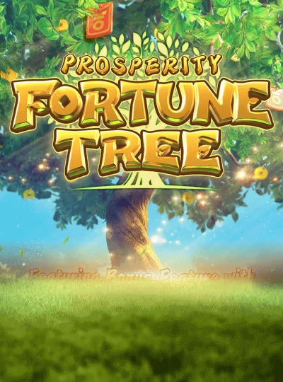 df777 Cricket betting game cover